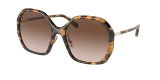 Coach Sunglasses HC8343