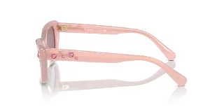 Swarovski Sunglasses SK6019F
