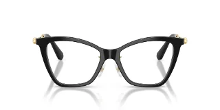 Swarovski Eyeglasses SK2051F