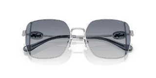 Coach Sunglasses HC7177B