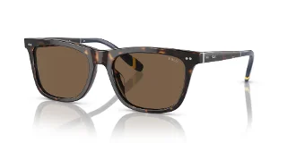 500373 Shiny Dark Havana