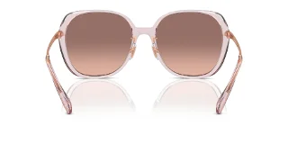 Coach Sunglasses HC8403D
