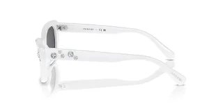 Swarovski Sunglasses SK6019