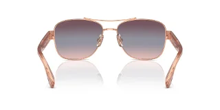 Coach Sunglasses HC7161