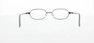 Polo Eyeglasses PP8017