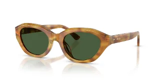 618571 Shiny Tortoise Light Brown