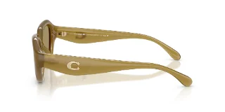 Coach Sunglasses HC8433U