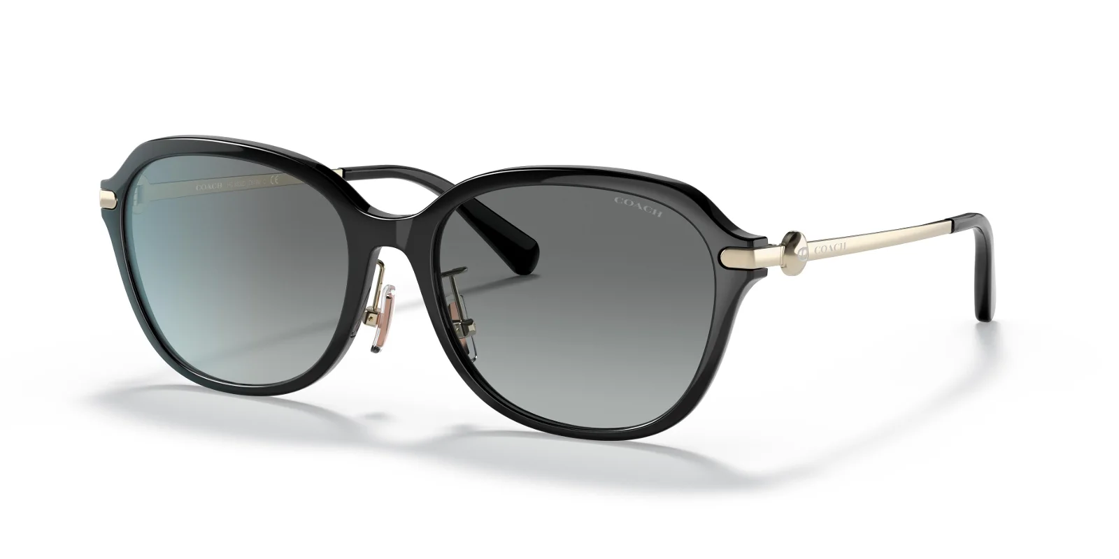 Coach Sunglasses HC8332D