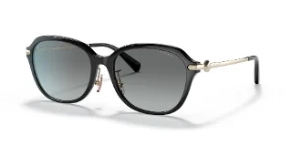 Coach Sunglasses HC8332D
