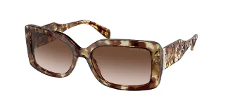 302813 Jet Set Tortoise