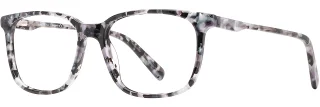 C02 Black/Silver