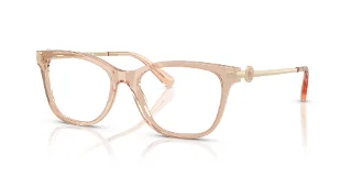 5561 Transparent Champagne
