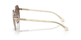 Coach Sunglasses HC7147