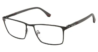 Champion Eyeglasses BIZ
