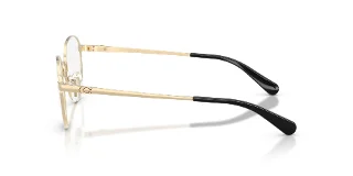 Coach Eyeglasses HC5209