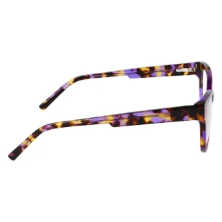 Dkny Eyeglasses DK5073