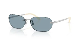 900172 Shiny Silver
