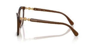 Swarovski Eyeglasses SK2053
