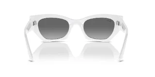 Ray Ban Sunglasses RB4430F