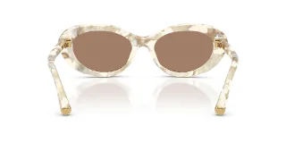 Dolce & Gabbana Sunglasses DG4519