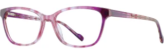 C03 Fuchsia/Purple