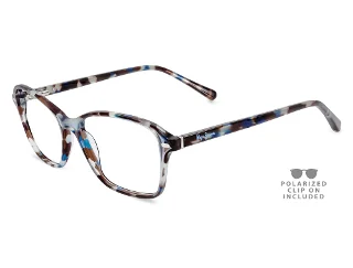 C12 Blue Tortoise
