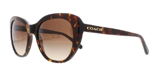 Coach Sunglasses HC8204 L1631