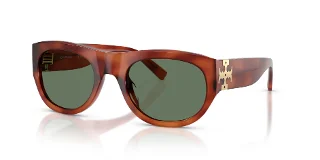 208382 Soft Amber Tortoise