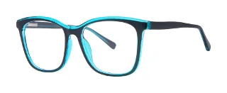 Modern Plastics II Eyeglasses ALANA