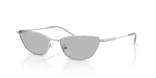 301587 Shiny Silver