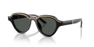 501787 Shiny Black