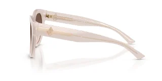 Jimmy Choo Sunglasses JC5053F