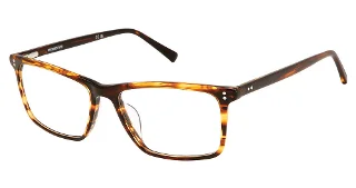 Vision's Eyeglasses AFV265
