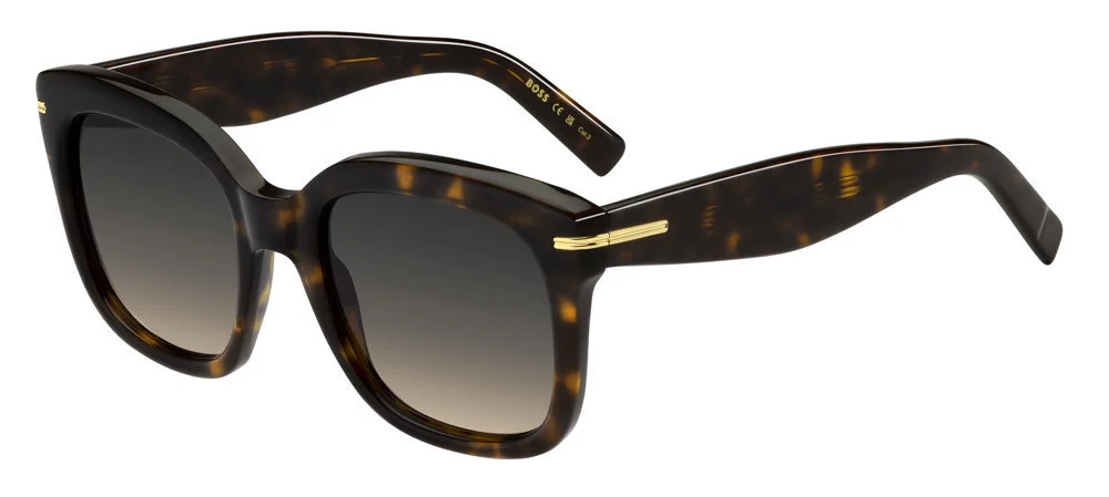 Hugo Boss Sunglasses 1731/S