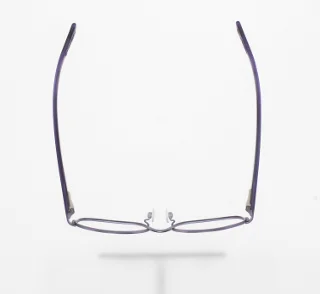 OneSight Eyeglasses G21005