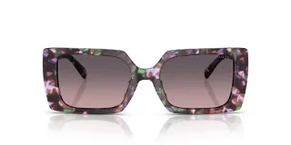 Coach Sunglasses HC8409U