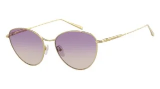 Longchamp Sunglasses LO112S
