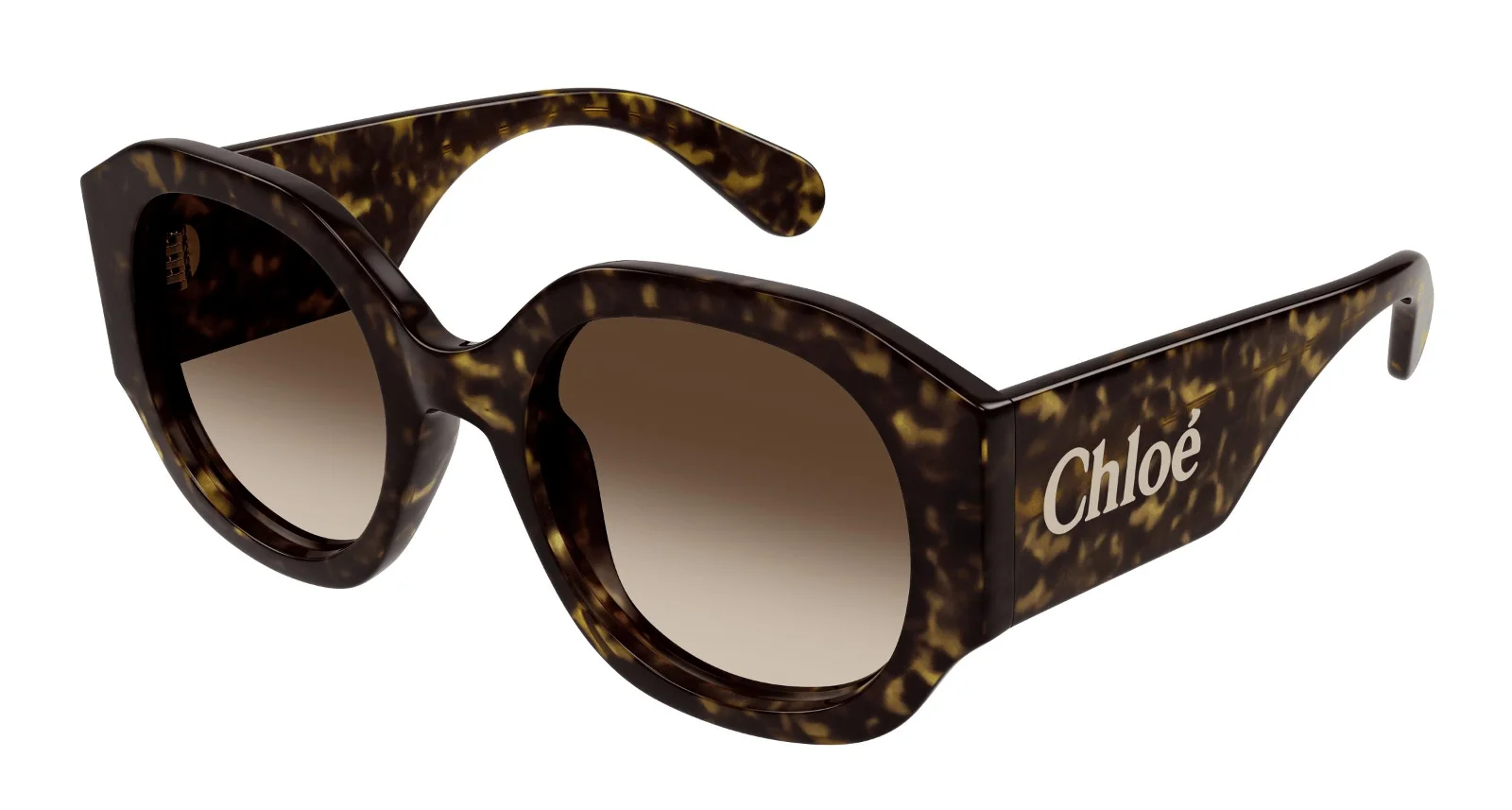 Chloe Sunglasses CH0234S