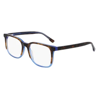 240 Tortoise Blue