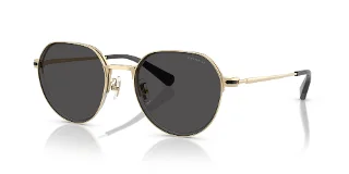 900587 Shiny Light Gold