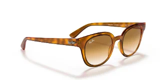 Ray Ban Sunglasses RB4324