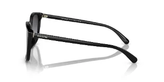 Coach Sunglasses HC8361U