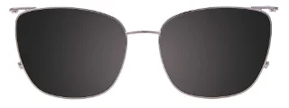 Easyclip Eyeglasses EC598
