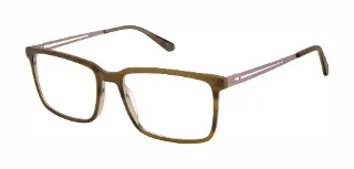 107 Olive