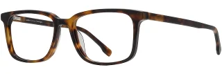 C02 Tortoise
