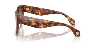 Giorgio Armani Sunglasses AR8195U