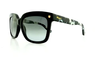 Salvatore Ferragamo Sunglasses SF676S