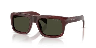 25J50X Pomegranate Tortoise