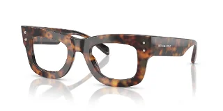 3904 Saddle Tortoise
