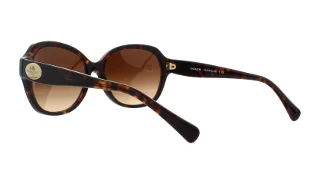 Coach Sunglasses HC8150 L133